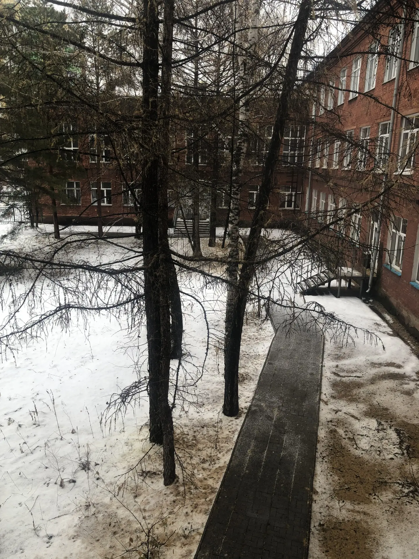 Дошкольные группы